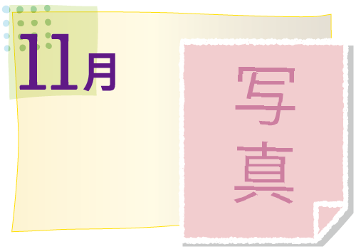 11月の活動イベント